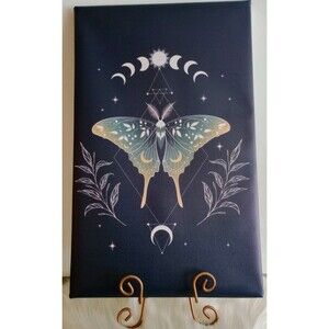 Moth & Moon Canvas Art Framed Picture Wall Hanging Home Decor Gift NIP